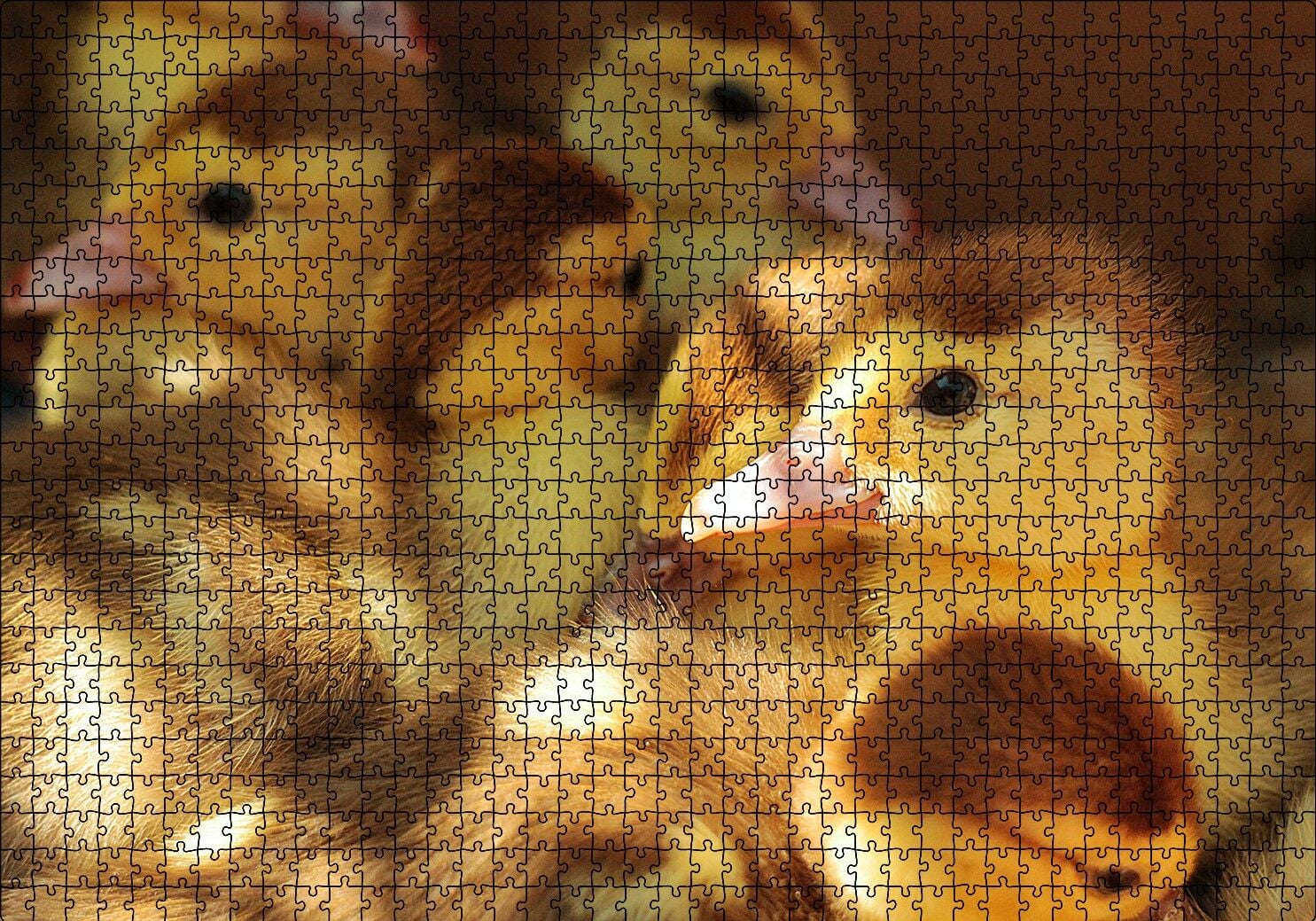 Ördek Yavruları Puzzle Yapboz MDF Ahşap 1000 Parça 49 cm X 68 cm