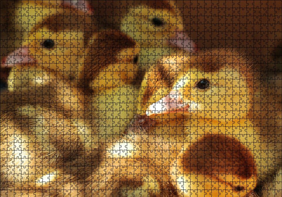 Ördek Yavruları Puzzle Yapboz MDF Ahşap 1000 Parça 49 cm X 68 cm