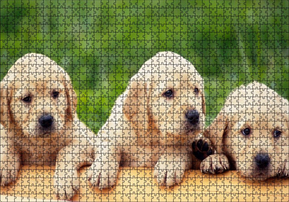 Kütüğün Üzerinde Üç Sevimli Labrador Puzzle Yapboz MDF Ahşap 1000 Parça 49 cm X 68 cm