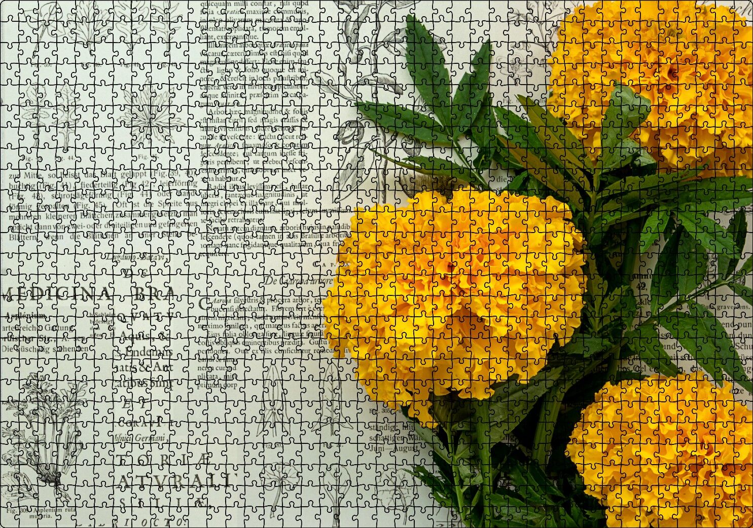 Sarı Çiçekler ve Bitkisel Şifa Kitabı Yaprakları Puzzle Yapboz MDF Ahşap 1000 Parça 49 cm X 68 cm