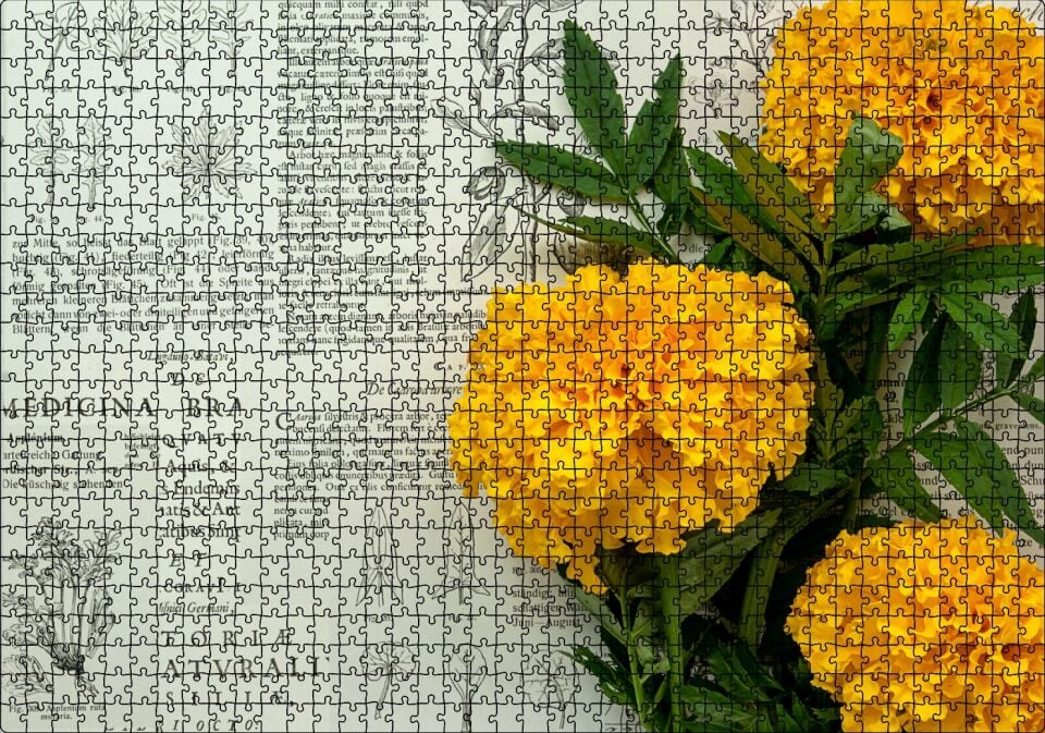 Sarı Çiçekler ve Bitkisel Şifa Kitabı Yaprakları Puzzle Yapboz MDF Ahşap 1000 Parça 49 cm X 68 cm