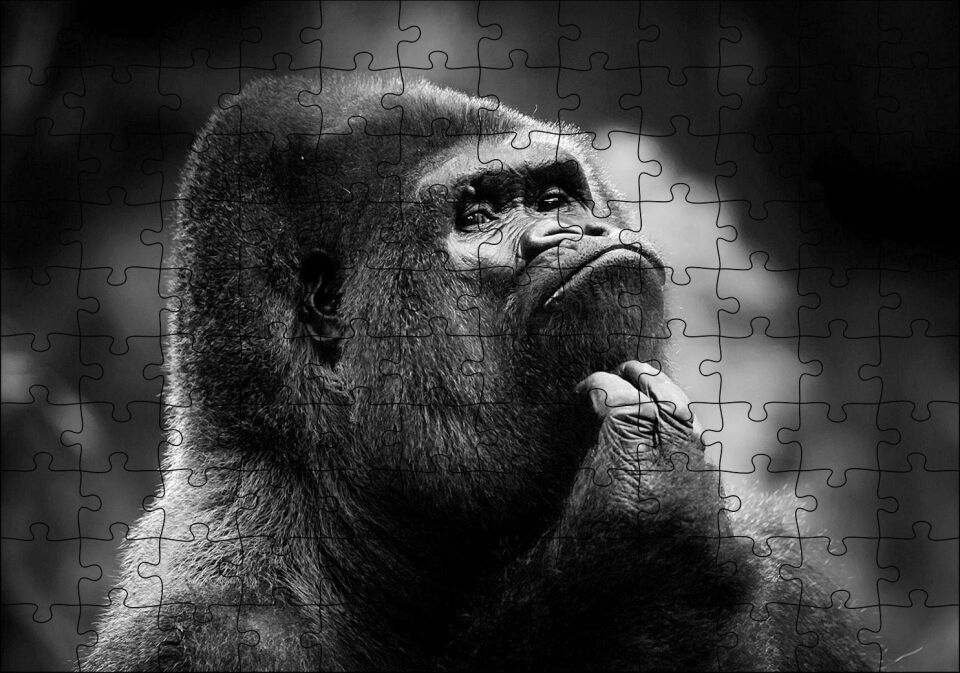 Çenesini Kaşıyan Goril Görseli Puzzle Yapboz MDF Ahşap 120 Parça 24 cm X 34 cm