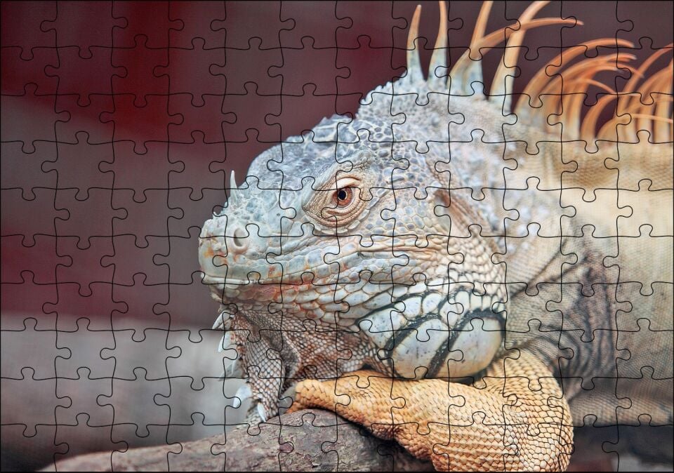 Dal Üzerinde Dinlenen Dev Kertenkele Puzzle Yapboz MDF Ahşap