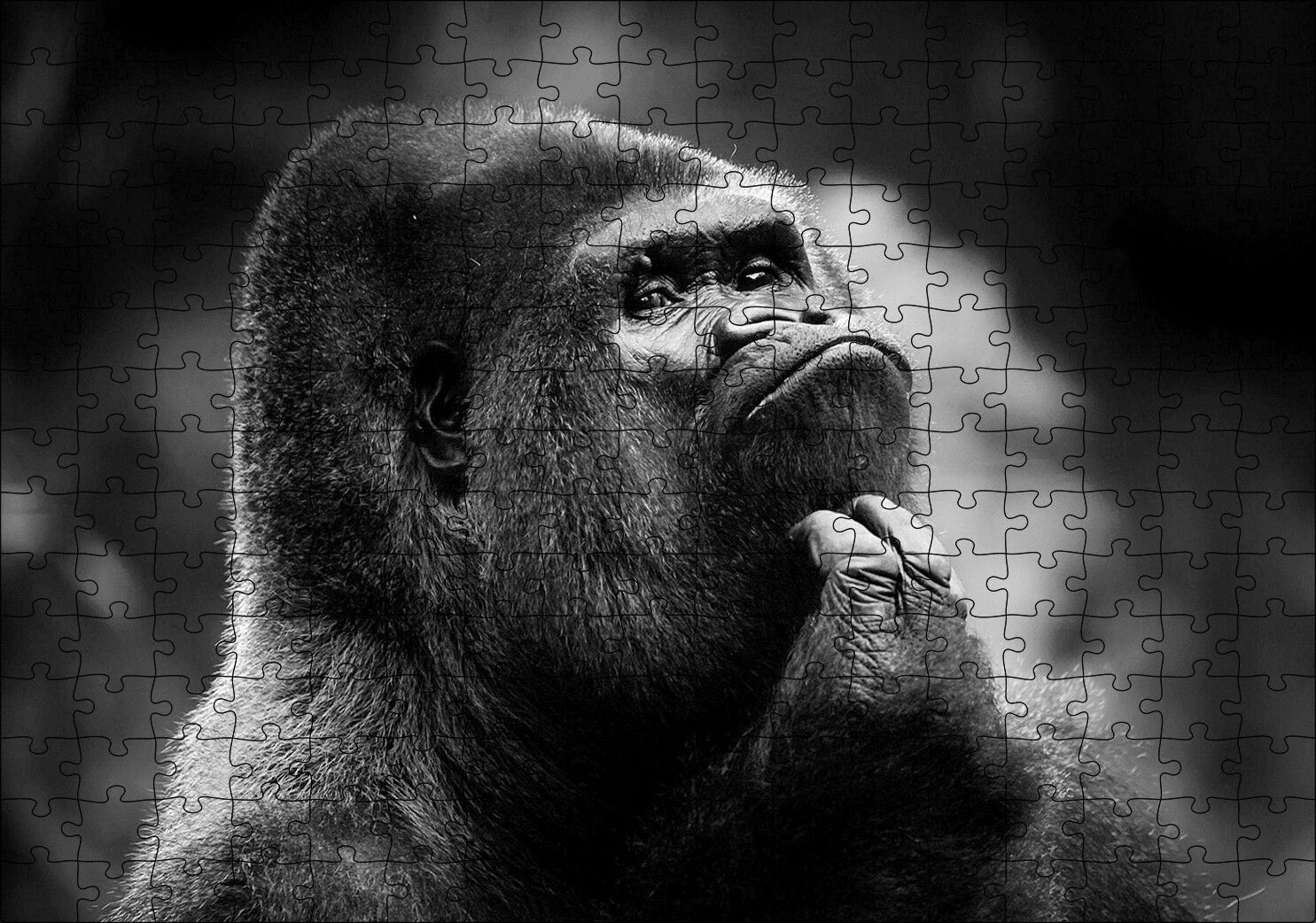 Çenesini Kaşıyan Goril Görseli Puzzle Yapboz MDF Ahşap 255 Parça 34 cm X 49 cm