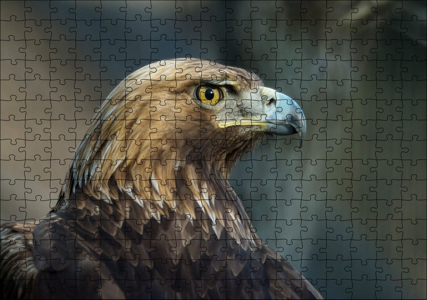 Keskin Bakışlı Kartal Yakın Profil Puzzle Yapboz MDF Ahşap 255 Parça 34 cm X 49 cm