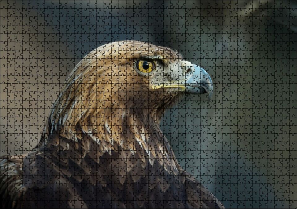 Keskin Bakışlı Kartal Yakın Profil Puzzle Yapboz MDF Ahşap 1000 Parça 49 cm X 68 cm