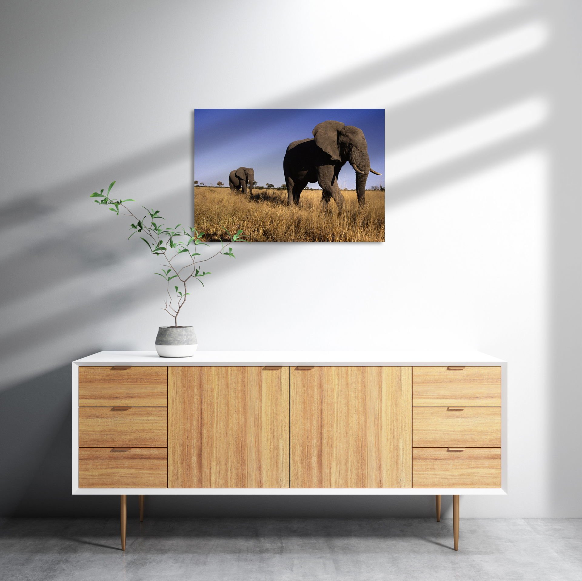 Afrikadaki İkili Filler MDF Akşap Duvar Tablo 50x70 cm