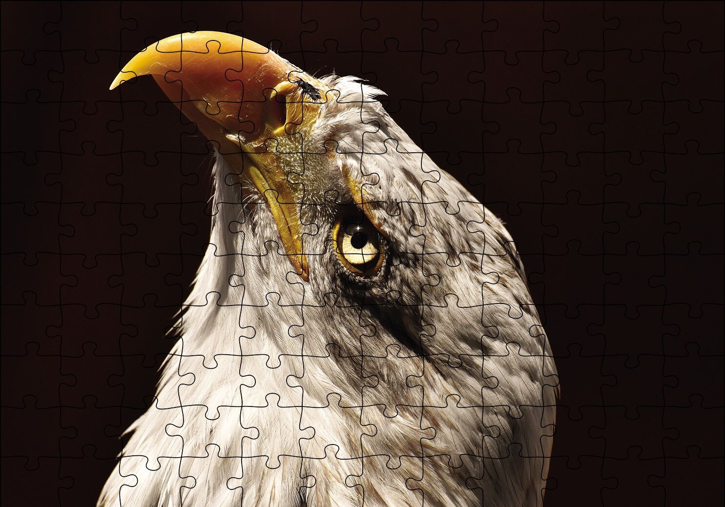 Kel Kartal Kuşu Puzzle Yapboz MDF Ahşap 120 Parça 24 cm X 34 cm