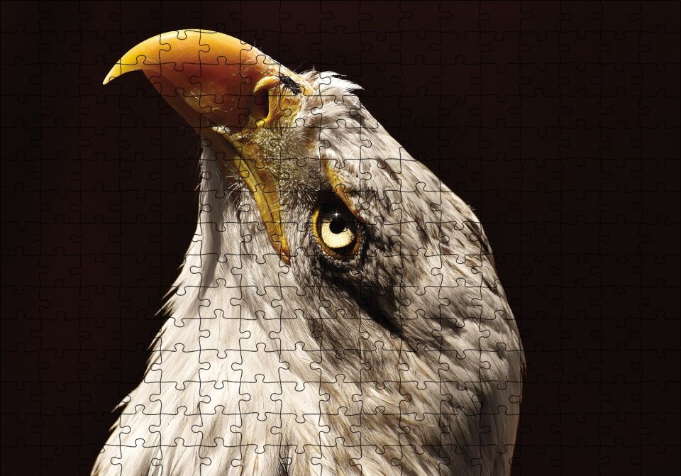 Kel Kartal Kuşu Puzzle Yapboz MDF Ahşap 255 Parça 34 cm X 49 cm
