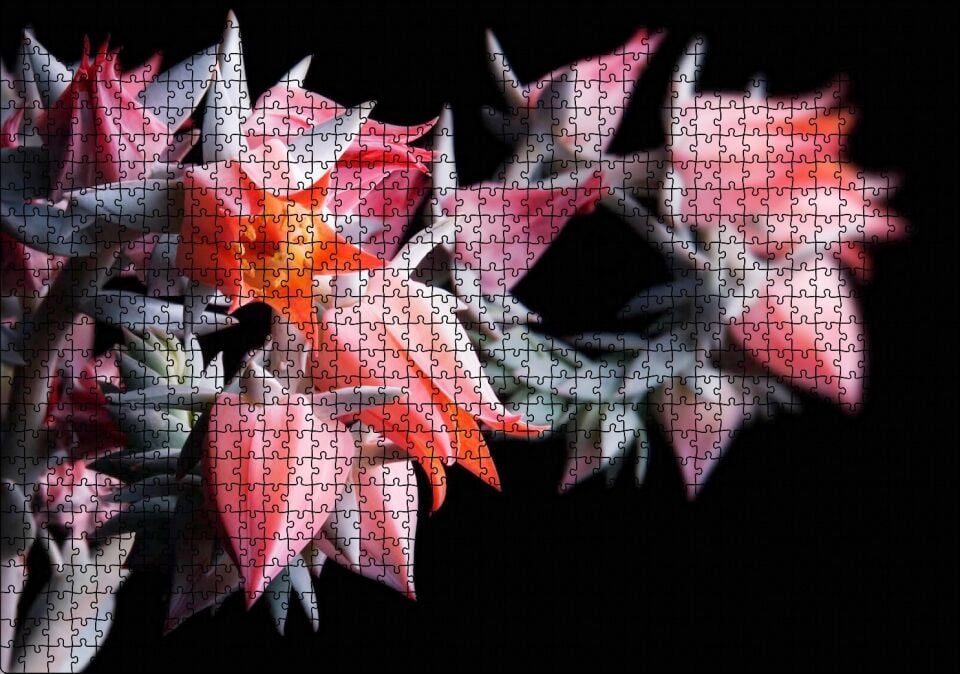 Kırmızı Bardak Çiçekleri Karanlık Arka Plan Puzzle Yapboz MDF Ahşap 1000 Parça 49 cm X 68 cm