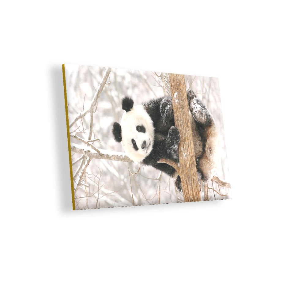 Ağaç Dalında Panda MDF Akşap Duvar Tablo 50x70 cm