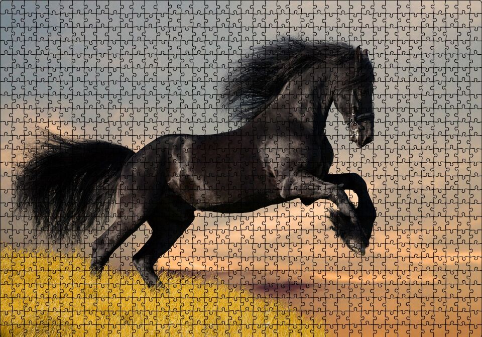 Çayırda Koşan Vahşi Siyah At Puzzle Yapboz MDF Ahşap 1000 Parça 49 cm X 68 cm