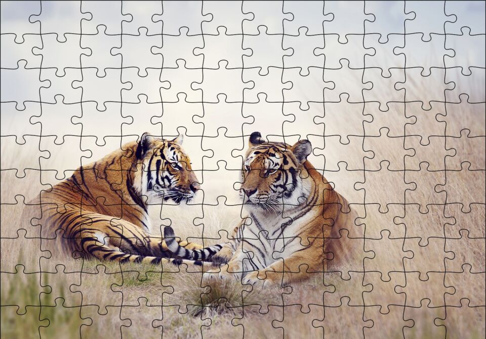 Çayırdaki Kaplan Çifti Puzzle Yapboz MDF Ahşap 120 Parça 24 cm X 34 cm