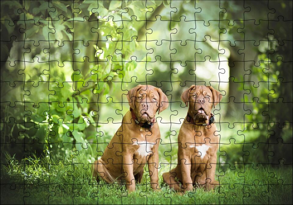 Yeşil Ağaçlar Arasındaki Kahverengi Boxerlar Puzzle Yapboz MDF Ahşap 120 Parça 24 cm X 34 cm