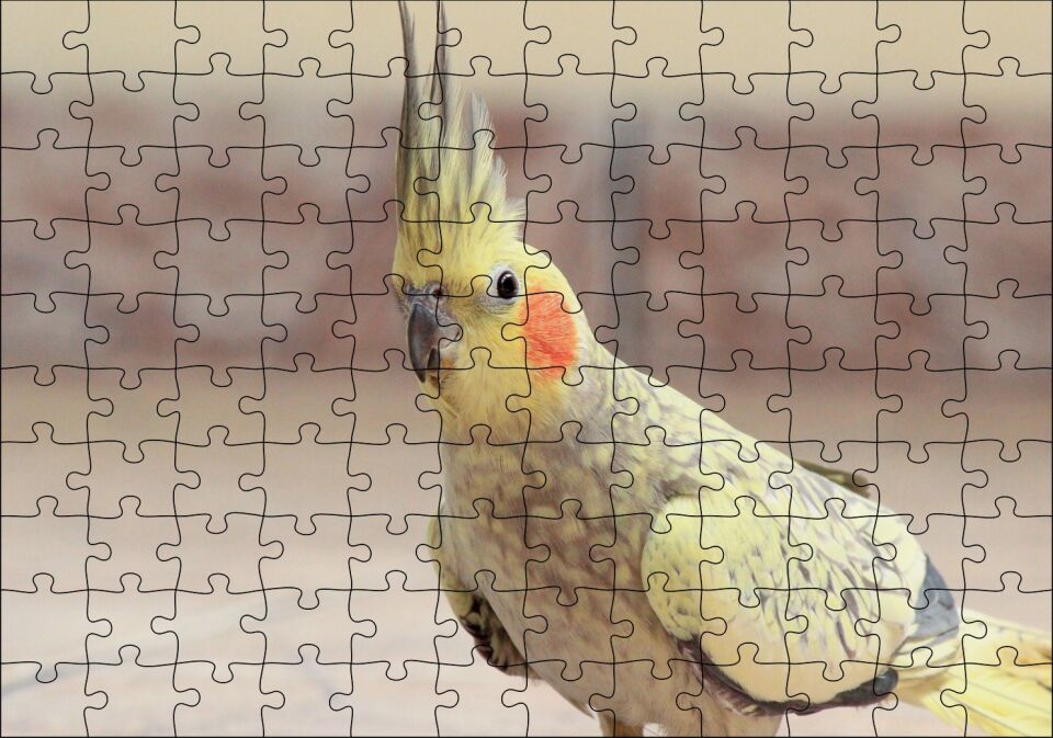 Sevimli Sarı Kakadu Papağanı Puzzle Yapboz MDF Ahşap 120 Parça 24 cm X 34 cm