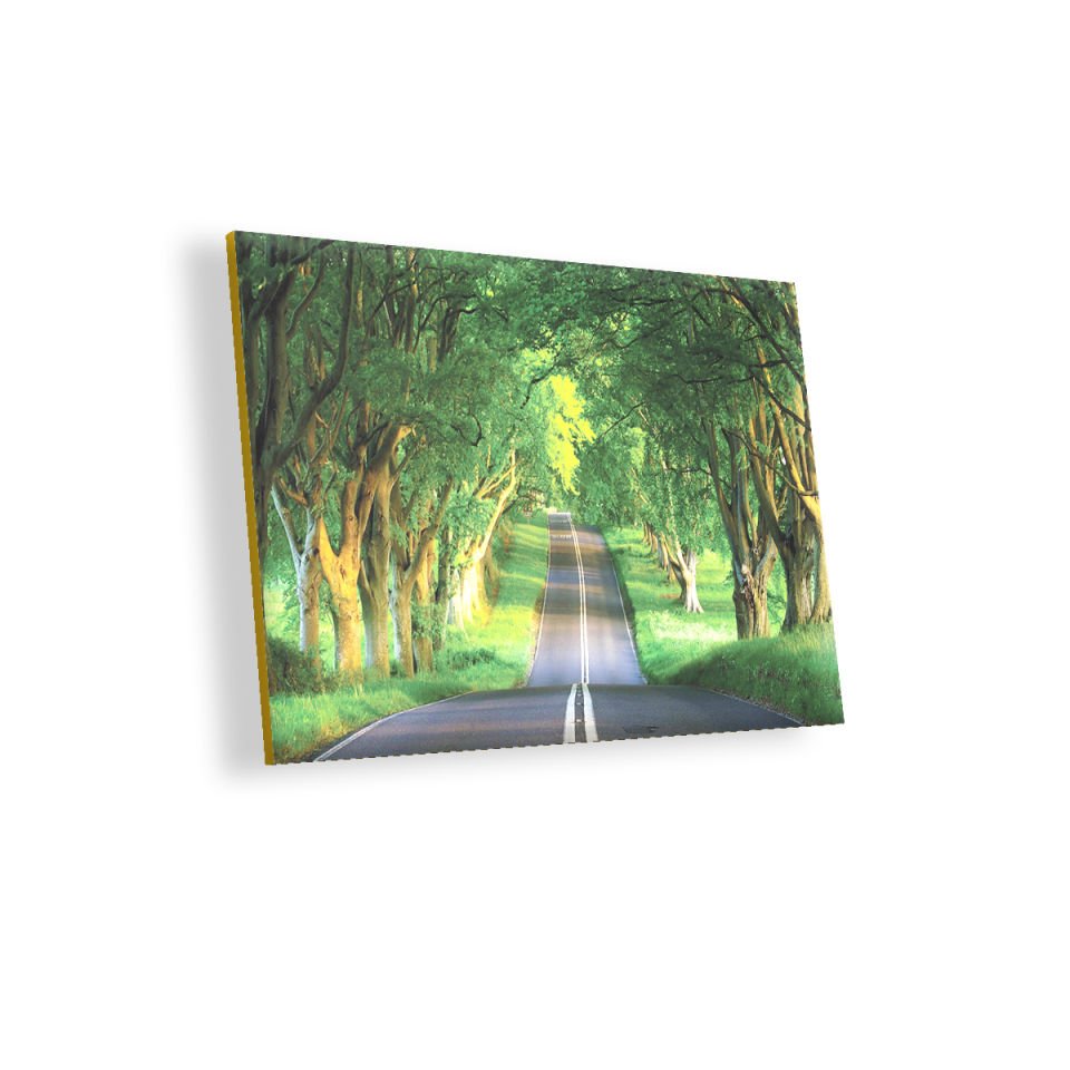 Ağaçlar Ve Yol MDF Akşap Duvar Tablo 50x70 cm