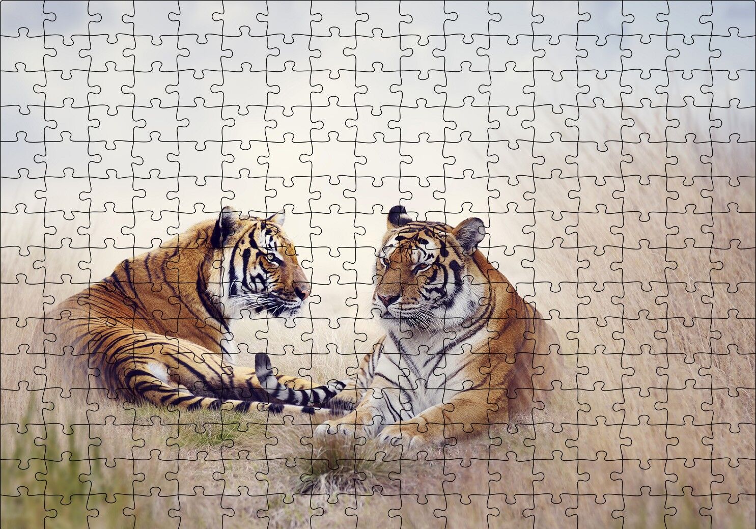 Çayırdaki Kaplan Çifti Puzzle Yapboz MDF Ahşap 255 Parça 34 cm X 49 cm