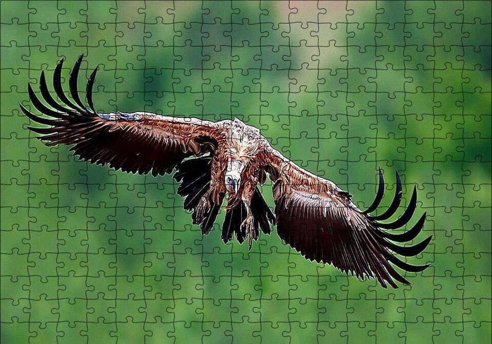 Süzülen Dev Akbaba Puzzle Yapboz MDF Ahşap 255 Parça 34 cm X 49 cm