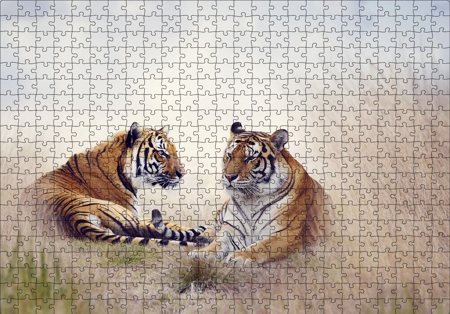 Çayırdaki Kaplan Çifti Puzzle Yapboz MDF Ahşap 500 Parça 49 cm X 68 cm