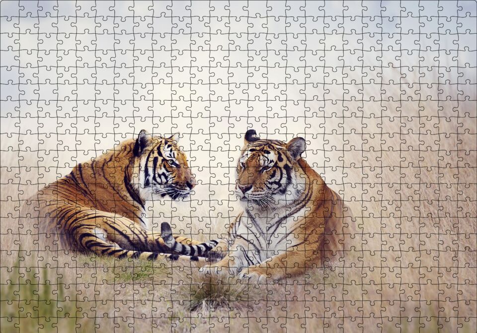 Çayırdaki Kaplan Çifti Puzzle Yapboz MDF Ahşap 500 Parça 49 cm X 68 cm