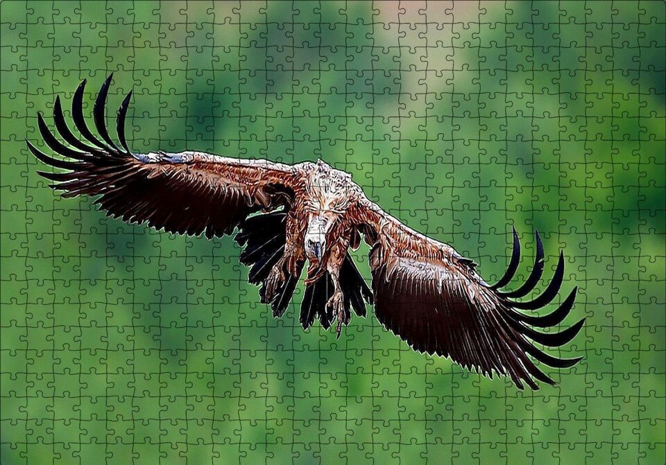 Süzülen Dev Akbaba Puzzle Yapboz MDF Ahşap 500 Parça 49 cm X 68 cm