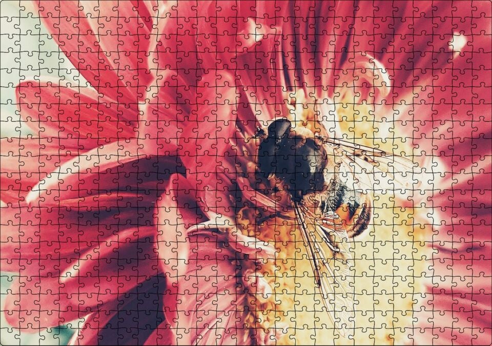 Kırmızı Çiçekten Polen Toplayan Arı Puzzle Yapboz MDF Ahşap 500 Parça 49 cm X 68 cm