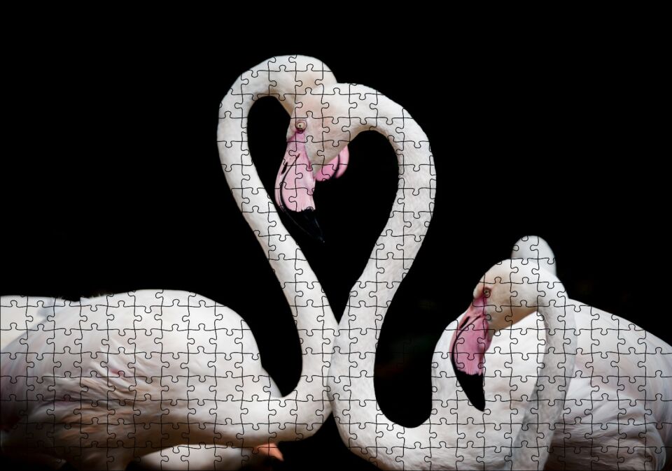 Zarif Boyunlarıyla Beyaz Flamingolar Puzzle Yapboz MDF Ahşap 500 Parça 49 cm X 68 cm