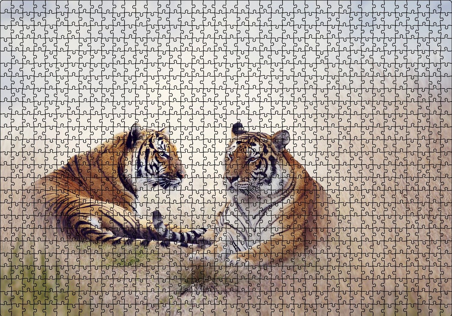Çayırdaki Kaplan Çifti Puzzle Yapboz MDF Ahşap 1000 Parça 49 cm X 68 cm
