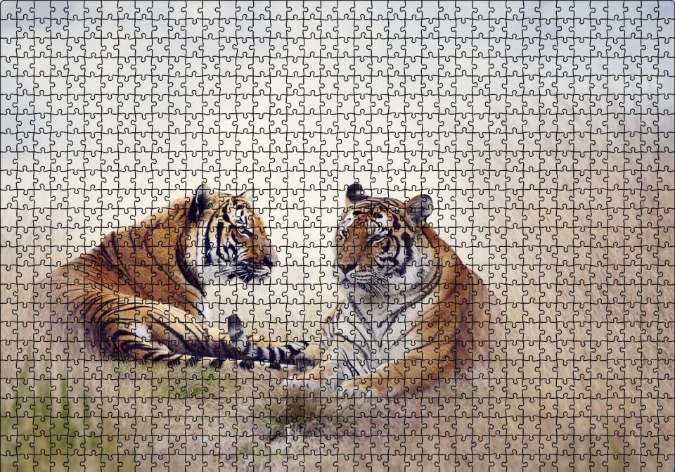 Çayırdaki Kaplan Çifti Puzzle Yapboz MDF Ahşap 1000 Parça 49 cm X 68 cm