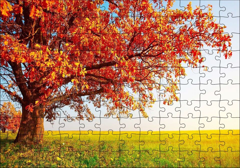 Sonbahar Renklerinde İhtiyar Ağaç Puzzle Yapboz MDF Ahşap