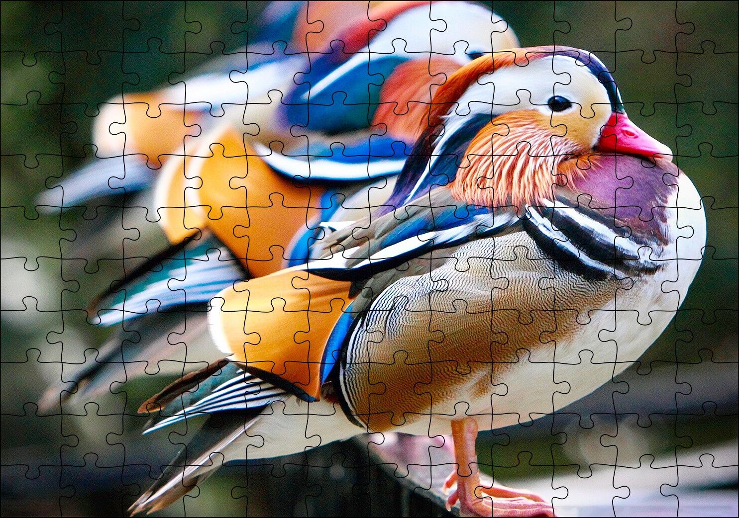 Mandarin Ördekleri Puzzle Yapboz MDF Ahşap 120 Parça 24 cm X 34 cm