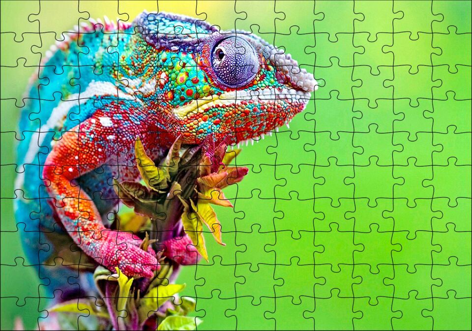 Yeşil Arkaplan ve Dalda Rengarenk Bukalemun Puzzle Yapboz MDF Ahşap 120 Parça 24 cm X 34 cm