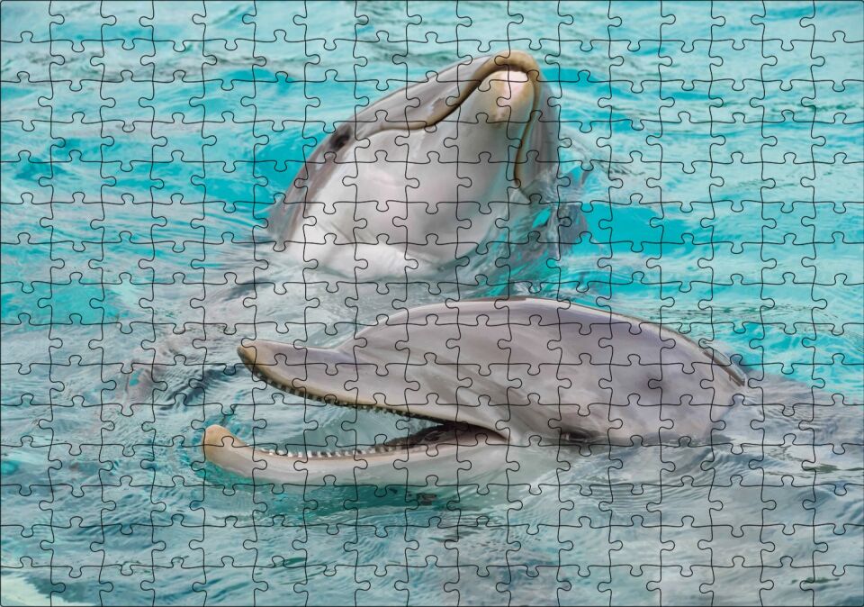Sevimli Yunuslar Suda Oynuyor Puzzle Yapboz MDF Ahşap 255 Parça 34 cm X 49 cm