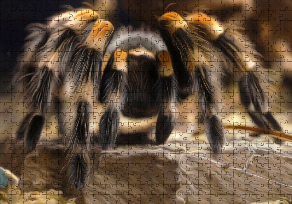 Tarantula Dijital Çizim Puzzle Yapboz MDF Ahşap 500 Parça 49 cm X 68 cm
