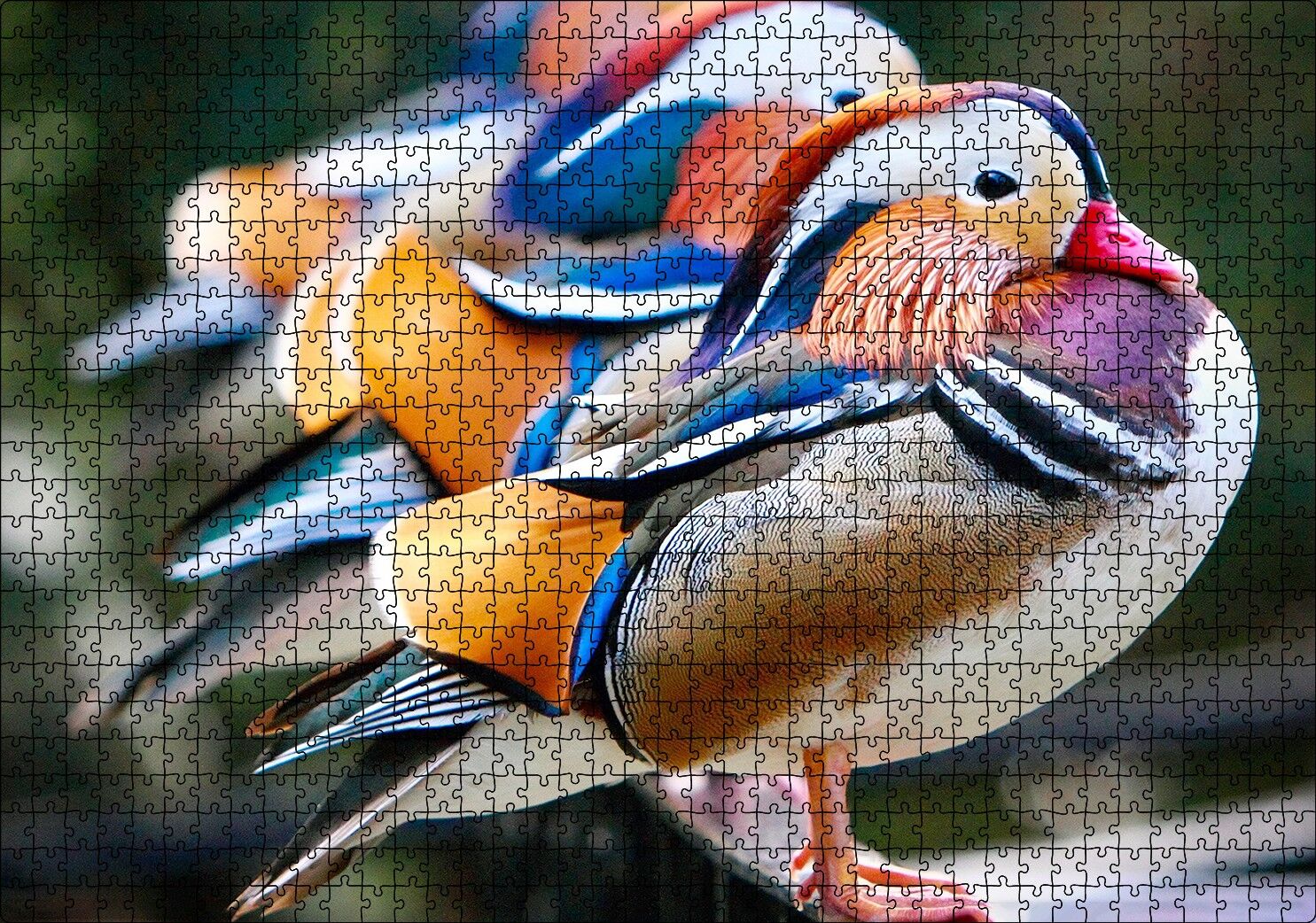 Mandarin Ördekleri Puzzle Yapboz MDF Ahşap 1000 Parça 49 cm X 68 cm