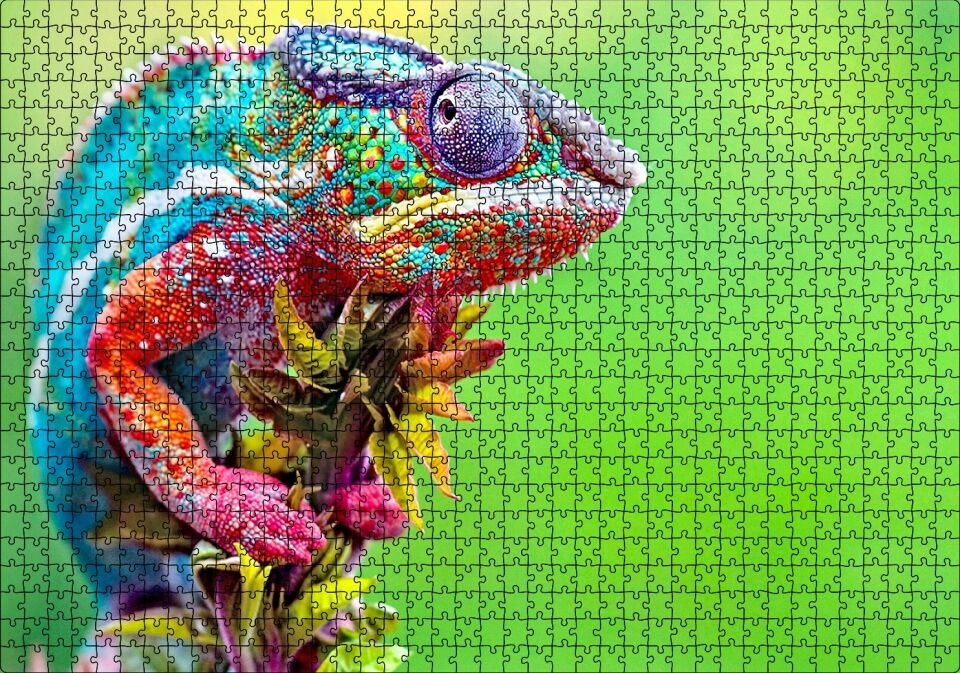 Yeşil Arkaplan ve Dalda Rengarenk Bukalemun Puzzle Yapboz MDF Ahşap 1000 Parça 49 cm X 68 cm