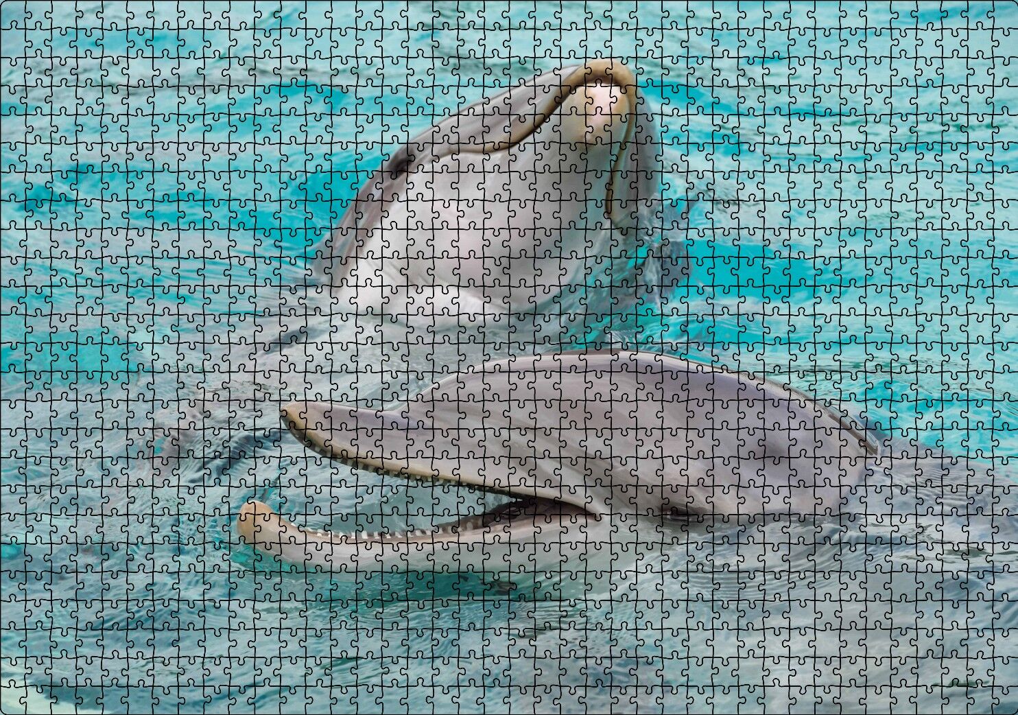 Sevimli Yunuslar Suda Oynuyor Puzzle Yapboz MDF Ahşap 1000 Parça 49 cm X 68 cm