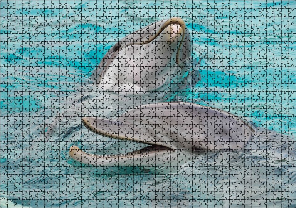 Sevimli Yunuslar Suda Oynuyor Puzzle Yapboz MDF Ahşap 1000 Parça 49 cm X 68 cm