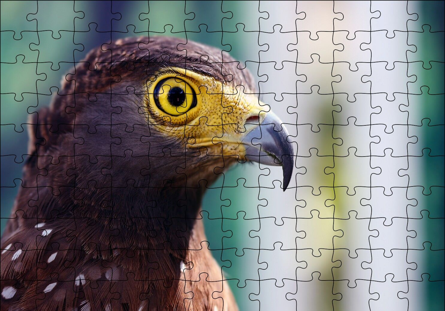 Kartal Yakın Plan Puzzle Yapboz MDF Ahşap 120 Parça 24 cm X 34 cm