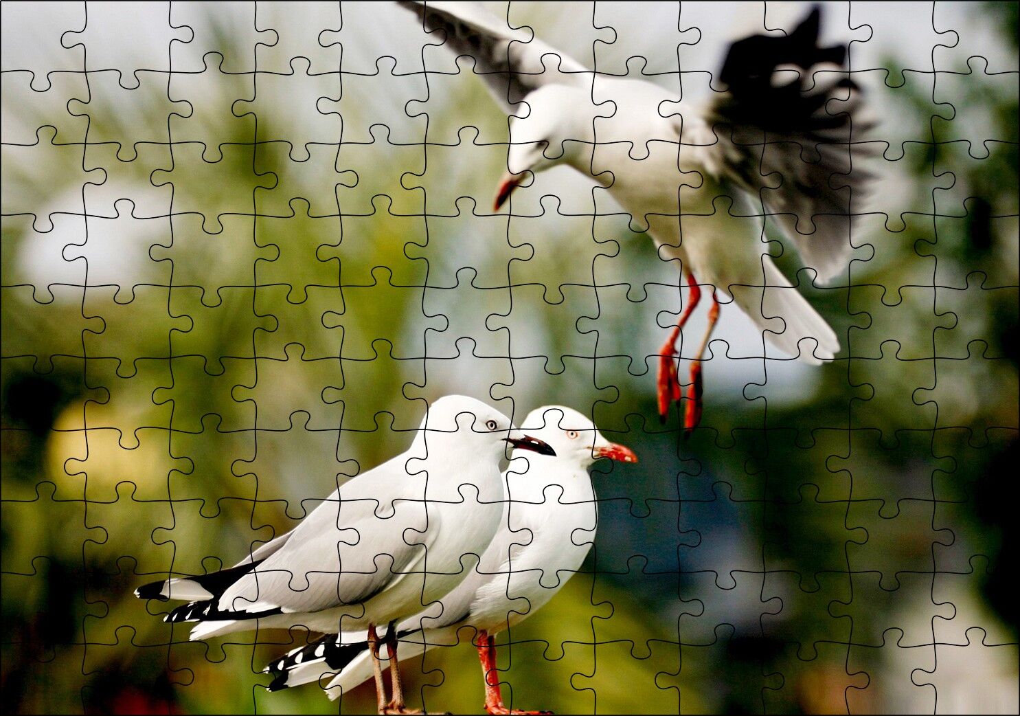 Martılar Kıyameti Kopmak Üzere Puzzle Yapboz MDF Ahşap 120 Parça 24 cm X 34 cm