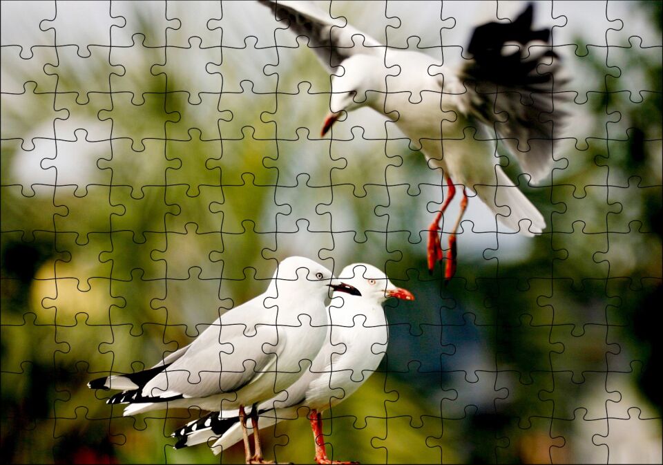 Martılar Kıyameti Kopmak Üzere Puzzle Yapboz MDF Ahşap 120 Parça 24 cm X 34 cm