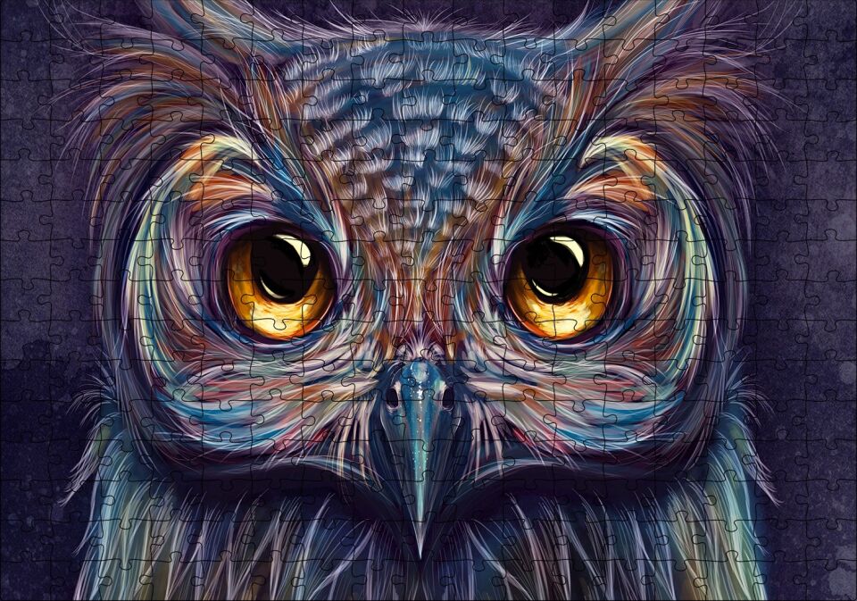 Baykuş Dijital Renkli Çizim Puzzle Yapboz MDF Ahşap 255 Parça 34 cm X 49 cm