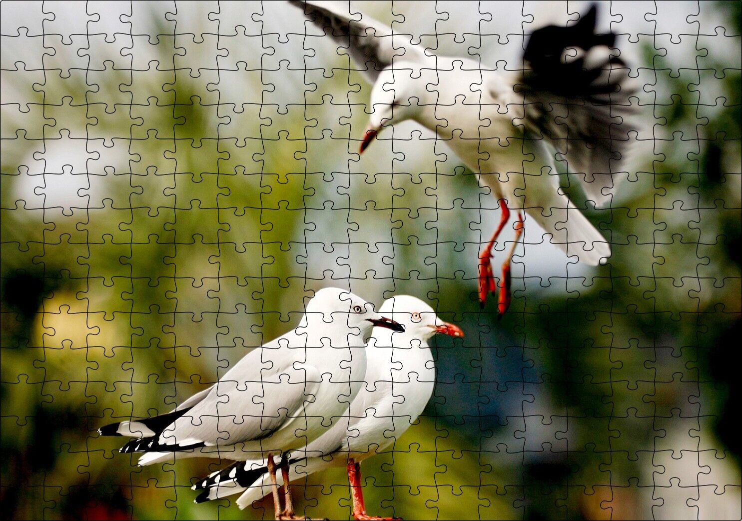 Martılar Kıyameti Kopmak Üzere Puzzle Yapboz MDF Ahşap 255 Parça 34 cm X 49 cm