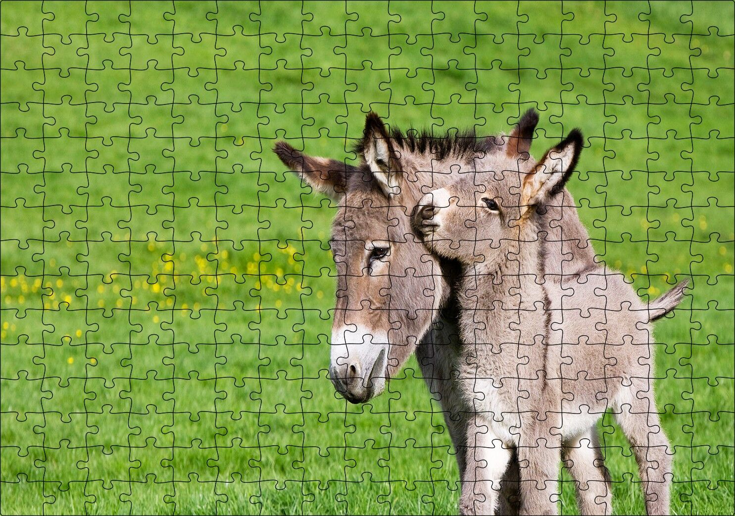 Yeşil Çayırda Gri Anne Eşek ve Sıpası Puzzle Yapboz MDF Ahşap 255 Parça 34 cm X 49 cm
