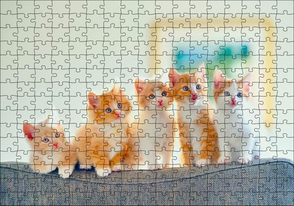 Koltukta Yanyana Sarı Beyaz Renkli 5 Kedi Puzzle Yapboz MDF Ahşap 255 Parça 34 cm X 49 cm