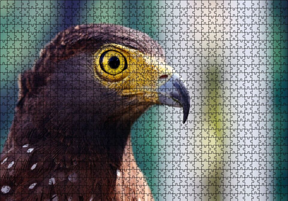 Kartal Yakın Plan Puzzle Yapboz MDF Ahşap 1000 Parça 49 cm X 68 cm