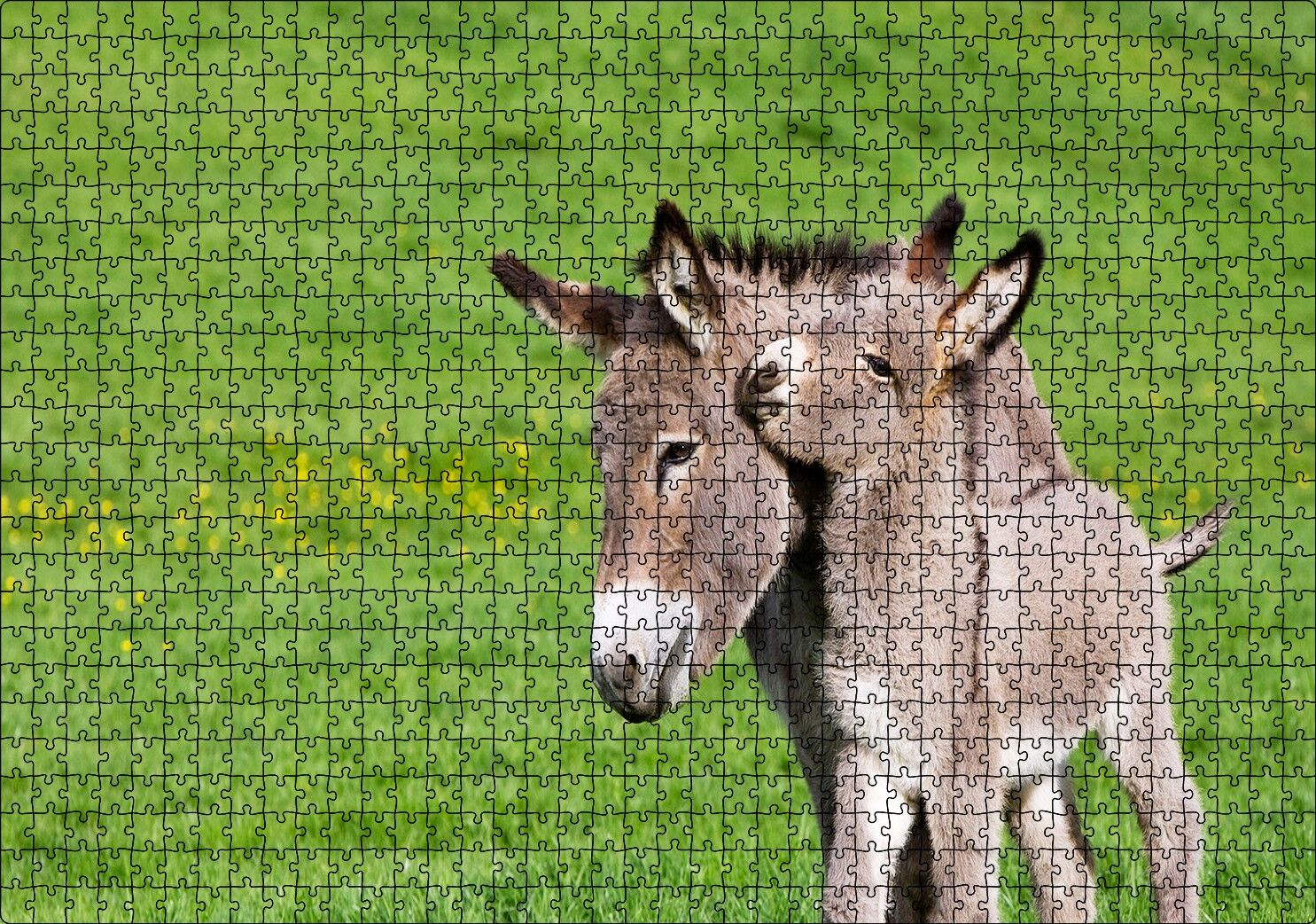 Yeşil Çayırda Gri Anne Eşek ve Sıpası Puzzle Yapboz MDF Ahşap 1000 Parça 49 cm X 68 cm