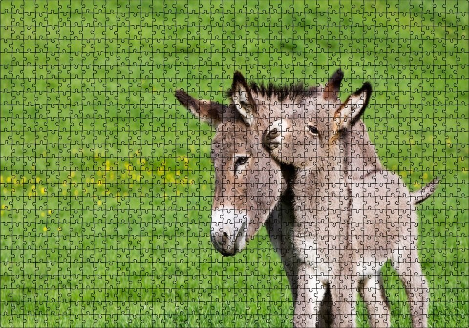 Yeşil Çayırda Gri Anne Eşek ve Sıpası Puzzle Yapboz MDF Ahşap 1000 Parça 49 cm X 68 cm