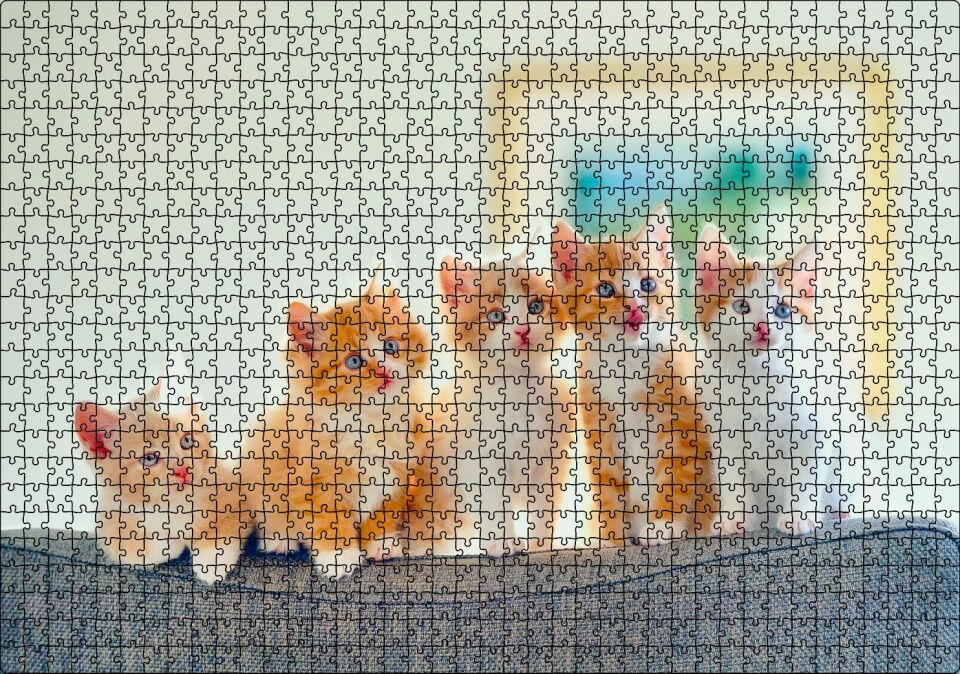 Koltukta Yanyana Sarı Beyaz Renkli 5 Kedi Puzzle Yapboz MDF Ahşap 1000 Parça 49 cm X 68 cm