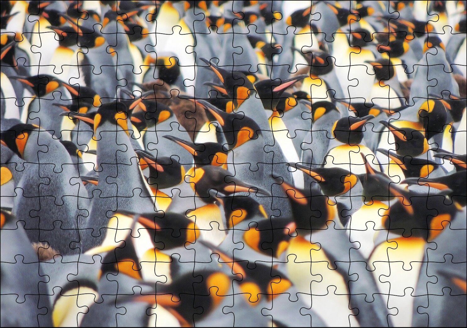 İmpataror Penguenleri Bir Arada Puzzle Yapboz MDF Ahşap